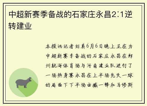 中超新赛季备战的石家庄永昌2∶1逆转建业